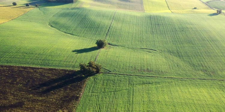 Termina el año con un nivel de operaciones aceptable en el mercado inmobiliario rural argentino ¿Cuán conveniente es comprar campos en la actual coyuntura?