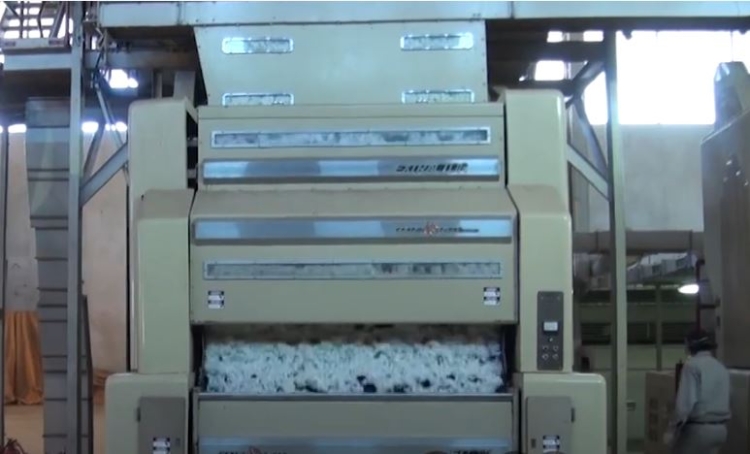 Gerardo Bielsa está presente en todos los eslabones de la cadena del algodón y afirma que es uno de los cultivos que más mano de obra aporta