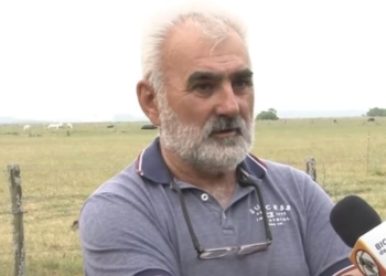 Enrique Landa aplica el pastoreo racional desde hace décadas y lo mide a la criolla: “Si al dar vuelta una bosta está seca, no hay sistema. Si está llena de escarabajos y lombrices, es que comenzó a funcionar”