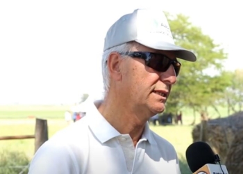 ¿Y cómo le está yendo al girasol? Enrique Moro, nuevo presidente de Asagir, consideró que si se ajustan algunas variables en la cadena se pueden superar los récords históricos de otras campañas