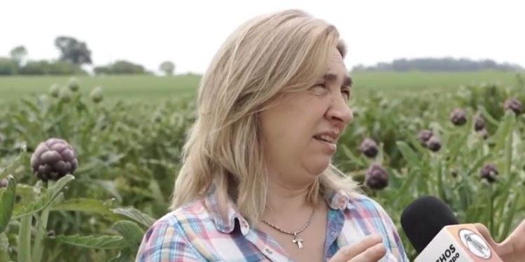 Con valor agregado, el alcaucil podría estar presente todo el año: Adriana Ricceti busca aumentar el consumo de esta hortaliza y hasta exportarla