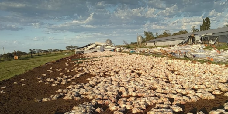 Speedy González para firmar el “consenso fiscal” y Manuelita para declarar la emergencia agropecuaria en Córdoba y Santa Fe