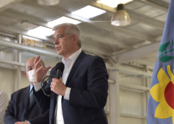 Las “mesas” del trigo y el maíz se despegan de las declaraciones de Domínguez para aclarar que no avalan medidas intervencionistas