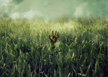 ¿Es razonable tener tanto miedo a un escape de trigo HB4? Decídalo usted mismo luego de conocer la historia de las “filtraciones transgénicas” sucedidas en la Argentina