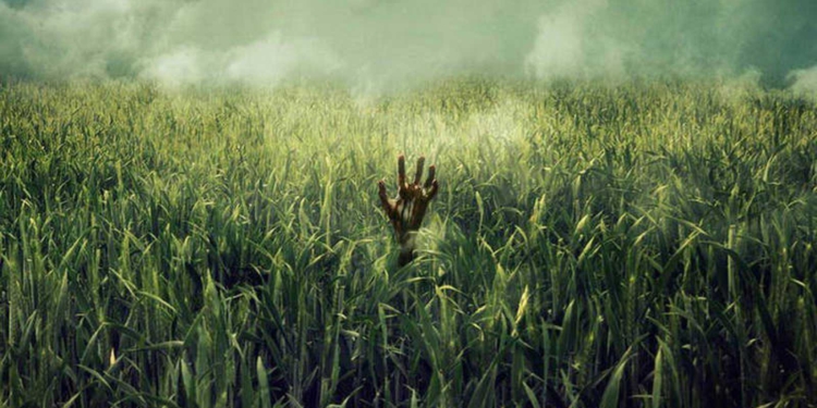 ¿Es razonable tener tanto miedo a un escape de trigo HB4? Decídalo usted mismo luego de conocer la historia de las “filtraciones transgénicas” sucedidas en la Argentina