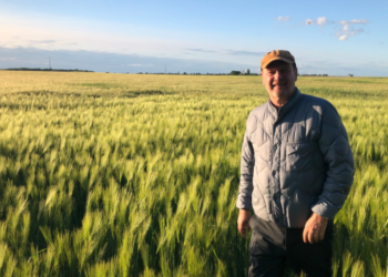 Agroempresas: Los Grobo refinanció deudas por 61 millones de dólares y consiguió más crédito