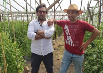 Dos amigos “del tomate”: Pensando en recuperar el sabor, Luciano y Alexis se pusieron a producir las variedades más extrañas