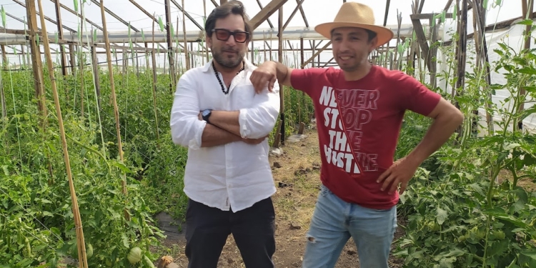 Dos amigos “del tomate”: Pensando en recuperar el sabor, Luciano y Alexis se pusieron a producir las variedades más extrañas