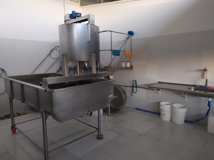 Inspirado en una vieja Infortambo, el agrónomo Germán Garganta decidió elaborar exquisitos quesos de oveja cerca de La Plata: Hasta les hizo una soja para pastoreo