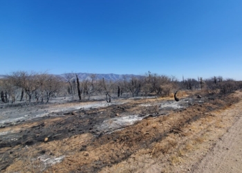 Lo que no se discute en el Congreso sobre el Presupuesto 2022: El Fondo de Desastres Agropecuarios está a un paso de desaparecer