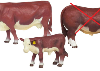 La paradoja intervencionista: Cuánto mayor sea la intensidad del “cepo” exportador, menor será la oferta de carne vacuna