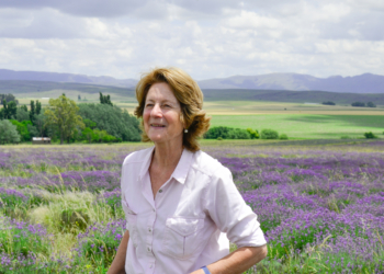 La reina de la lavanda: En Sierra de la Ventana, Léony Staudt la produce de modo orgánico, llegó a exportarla y hoy comparte las más bellas postales con los visitantes