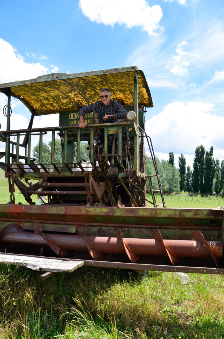 La reina de la lavanda: En Sierra de la Ventana, Léony Staudt la produce de modo orgánico, llegó a exportarla y hoy comparte las más bellas postales con los visitantes
