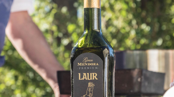 ¿Cuál es el precio del mejor aceite de oliva elaborado por la empresa argentina que resultó ser la más premiada del mundo? La respuesta te sorprenderá