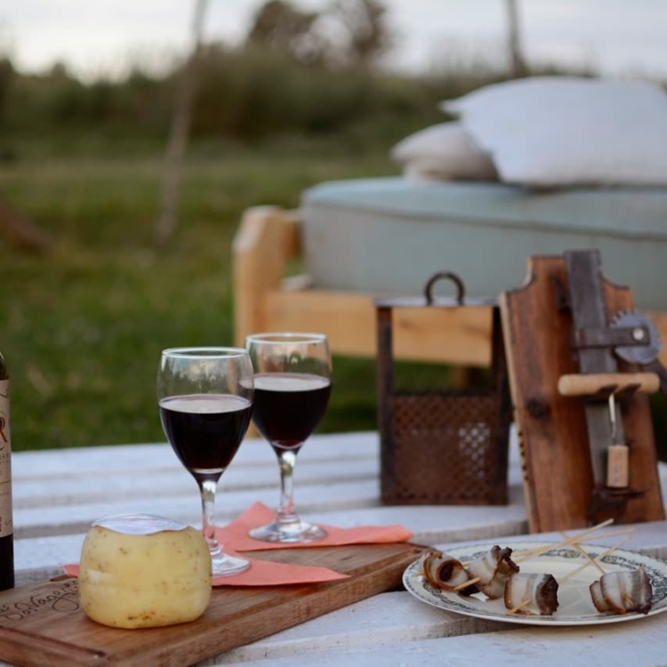 Turismo rural: Miriam Gattari se cansó del estrés de Buenos Aires y encontró en un campo con dos viejos vagones una nueva forma de vida
