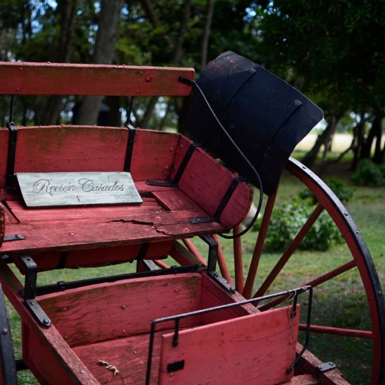 Turismo rural: Miriam Gattari se cansó del estrés de Buenos Aires y encontró en un campo con dos viejos vagones una nueva forma de vida
