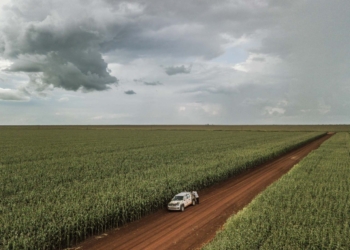 Brasil ajusta al alza la estimación de importación de maíz para ubicarla en 2,70 millones de toneladas