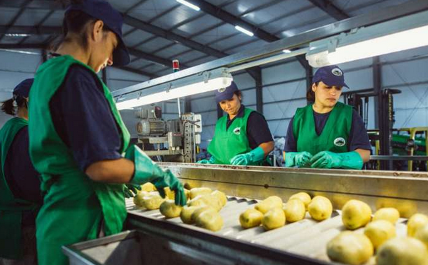 Nueva tanda de créditos fiscales para capacitación de personal: Cuáles son las empresas agroindustriales beneficiadas