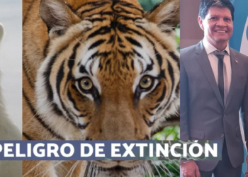 CAME advierte que ya no hay más margen para seguir aumentando impuestos provinciales