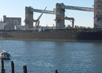 El polo productor de trigo de Necochea es dos veces y media más eficiente que el de Rosario en términos logísticos