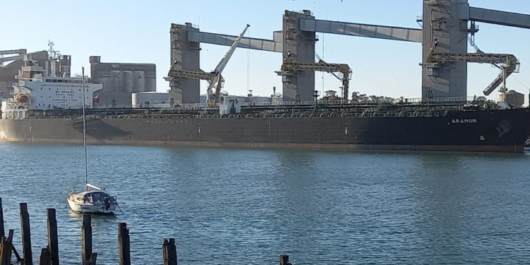 El polo productor de trigo de Necochea es dos veces y media más eficiente que el de Rosario en términos logísticos