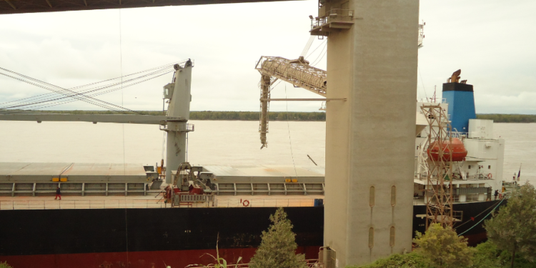 El gobierno decidió oficializar la política de “cupos tácitos” de exportación de maíz y trigo: Ahora se llamarán “volúmenes de equilibrio”