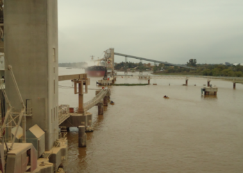 El complejo sojero argentino va camino a generar este año exportaciones netas por un récord de 20.000 millones de dólares