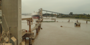 El complejo sojero argentino va camino a generar este año exportaciones netas por un récord de 20.000 millones de dólares