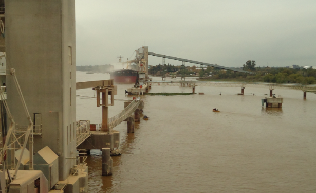 El complejo sojero argentino va camino a generar este año exportaciones netas por un récord de 20.000 millones de dólares