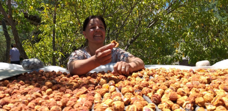Bettina González ofrece paquetes donde se mide hasta la huella de carbono: “El turismo solidario es nuestro modo de alcanzar la sostenibilidad”
