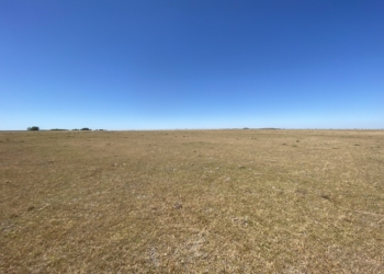 Uruguay se adelanta y declara la emergencia agropecuaria por sequía en la región central del país