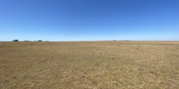 Uruguay se adelanta y declara la emergencia agropecuaria por sequía en la región central del país