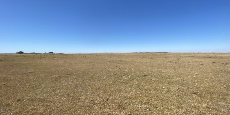 Uruguay se adelanta y declara la emergencia agropecuaria por sequía en la región central del país