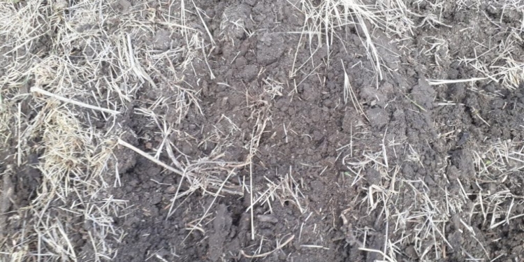 La posibilidad de un fracaso de la cosecha gruesa argentina comienza a introducirse como un factor alcista potencial