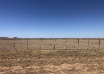 Datos oficiales: Se está destruyendo (otra vez) la capacidad productiva del agro argentino