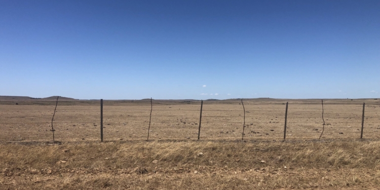 Datos oficiales: Se está destruyendo (otra vez) la capacidad productiva del agro argentino