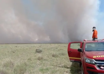 Se declaró la emergencia agropecuaria para Río Negro y Neuquén por sequía y heladas intensas