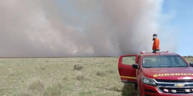 Se declaró la emergencia agropecuaria para Río Negro y Neuquén por sequía y heladas intensas