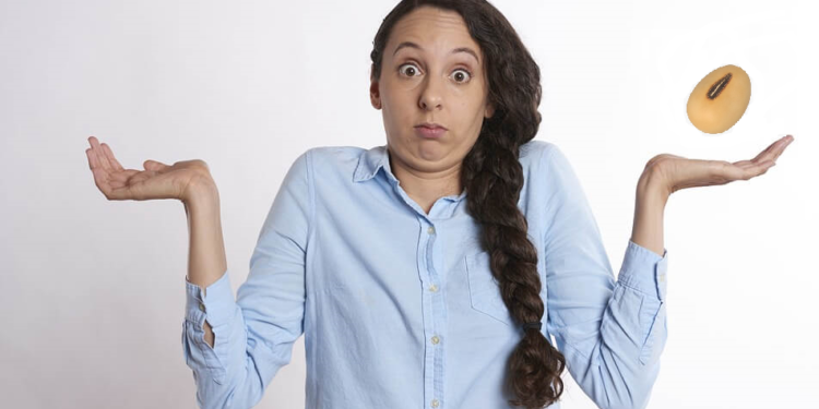 ¿Por qué cayó la soja argentina cuando subió un montón en el mercado internacional? Acá te lo contamos