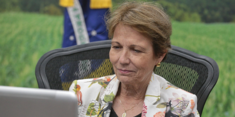 Brasil se acerca a Rusia para intentar reducir la enorme dependencia de China y obtiene una gran cuota de exportación de carne vacuna y porcina libre de aranceles