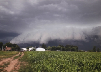 Niña no te tenemos miedo: siguen las chances de recibir precipitaciones en zonas necesitadas de agua