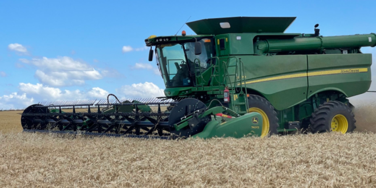 Elevan a 21,5 millones de toneladas la estimación de cosecha argentina de trigo por rindes “sorpresa” en la región pampeana