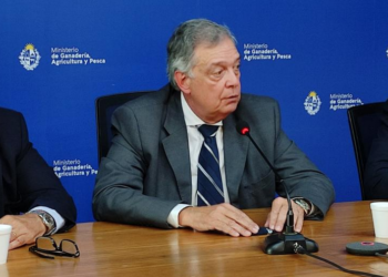 Uruguay se anticipa a un escenario seco y habilita la autorización de pastoreo en la vía pública