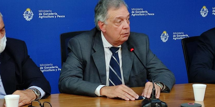 Uruguay se anticipa a un escenario seco y habilita la autorización de pastoreo en la vía pública