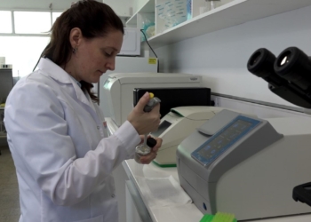 Roxana Roeschlin hace biotecnología en el INTA para mejorar el algodón: Sabe que es un trabajo largo y no se distrae con capullos de colores