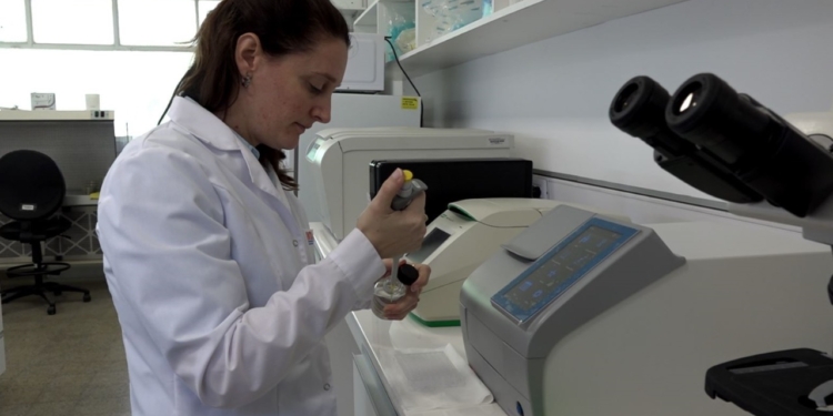 Roxana Roeschlin hace biotecnología en el INTA para mejorar el algodón: Sabe que es un trabajo largo y no se distrae con capullos de colores