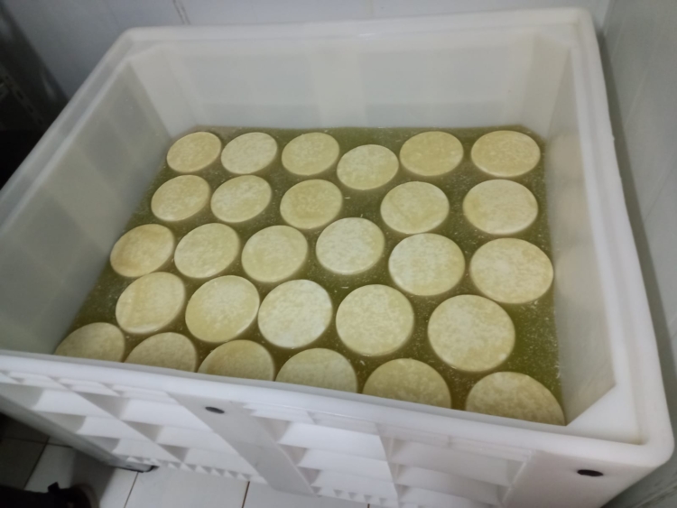 Inspirado en una vieja Infortambo, el agrónomo Germán Garganta decidió elaborar exquisitos quesos de oveja cerca de La Plata: Hasta les hizo una soja para pastoreo