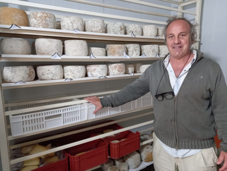 Inspirado en una vieja Infortambo, el agrónomo Germán Garganta decidió elaborar exquisitos quesos de oveja cerca de La Plata: Hasta les hizo una soja para pastoreo