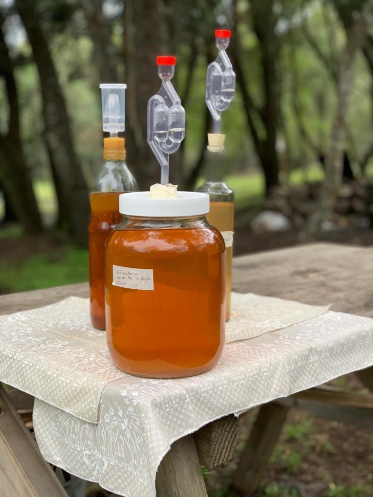 Facundo Gallardo prepara alimentos fermentados y hace años que está detrás del “Santo” Gargal: “Es un hongo nativo muy especial y buscarlo es como un retiro espiritual”