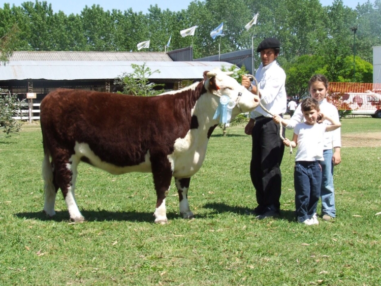 Para Cabaña San Edmundo el hecho de no tener tierra propia se terminó transformando en una fortaleza estratégica